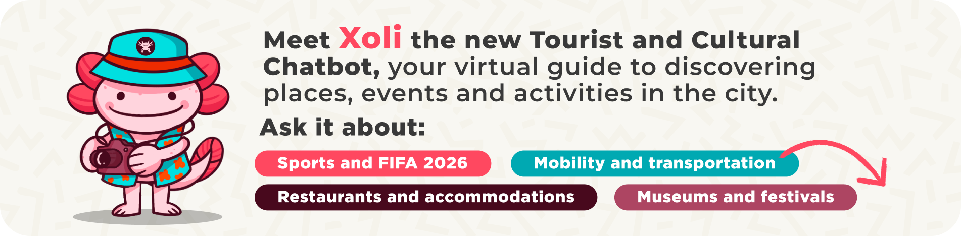 Conoce a Xoli - Chatbot Turístico
