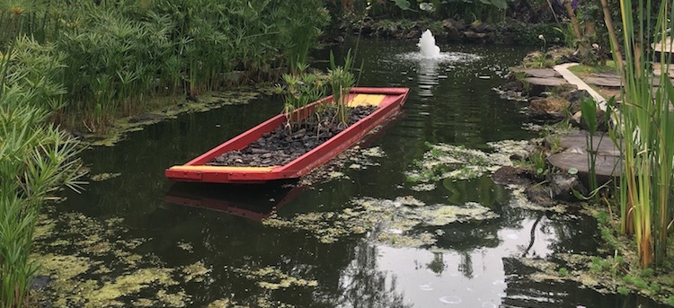 Chapultepec Botanical Garden