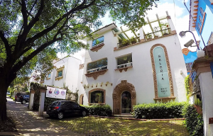 Galería Óscar Román