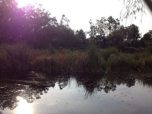 Huayamilpas Park