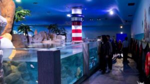 The Inbursa Aquarium (Acuario Inbursa)