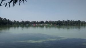 特拉瓦克森林公园