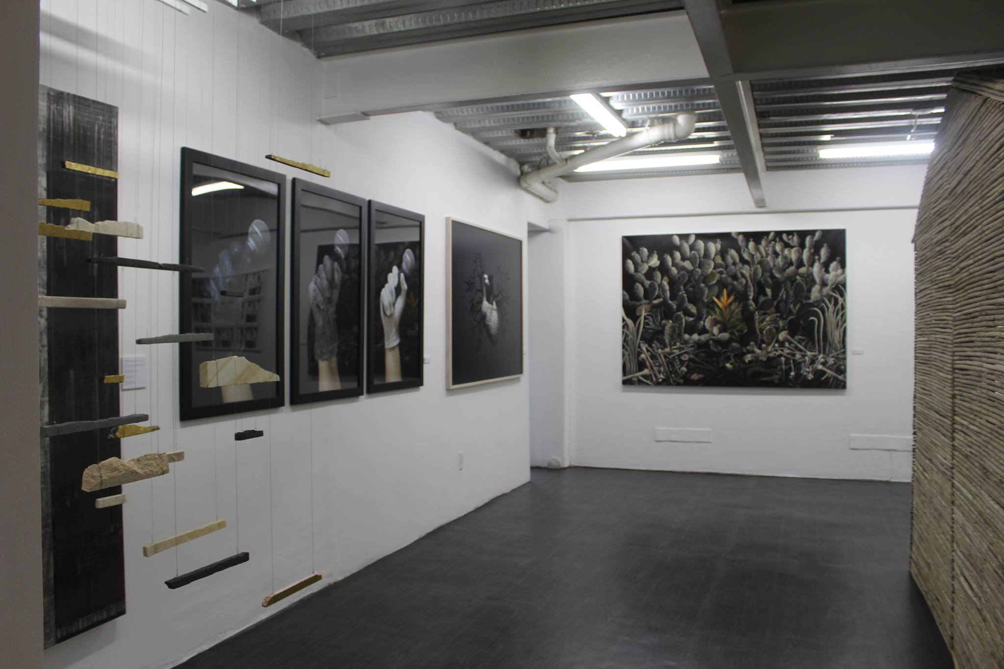 Galería Nina Menocal