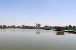 parque-bicentenario