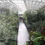 parque-bicentenario