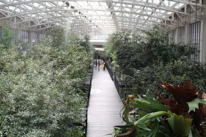 parque-bicentenario