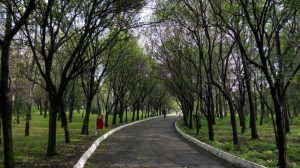 拉斯阿桂拉斯公園/日本公園