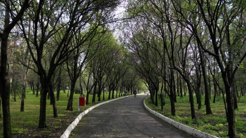 Parque Las Águilas/Parque Japón