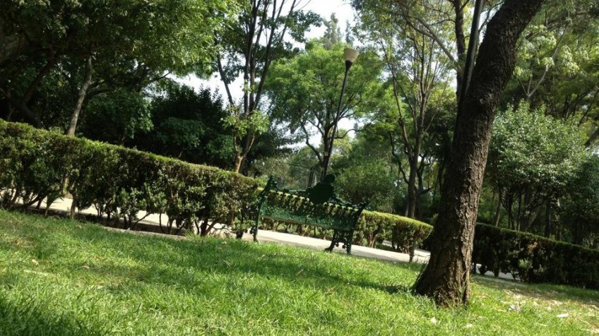 费利佩·圣地亚哥·希科滕卡特花园（阿拉莫斯公园）