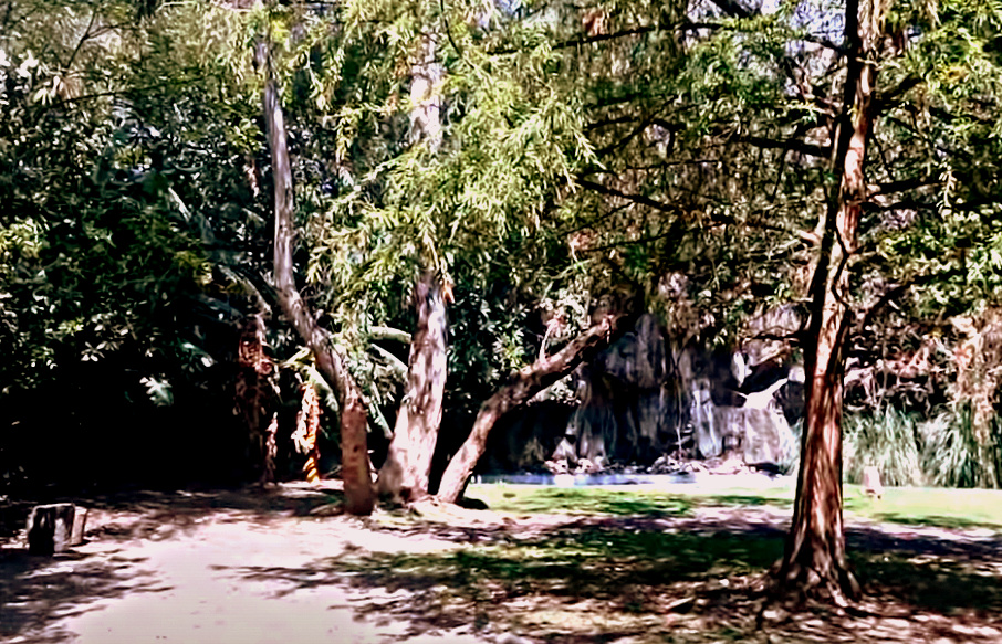 Parque de las Novias