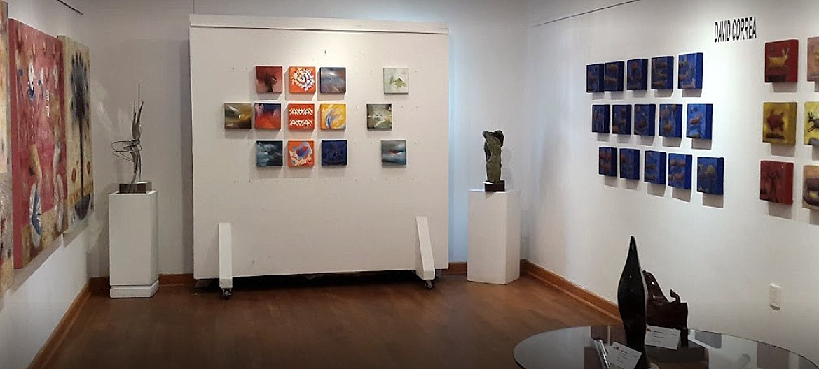 Galería de Arte Schwarzstein