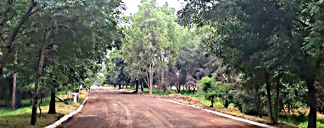 El Zapote Ecological Park