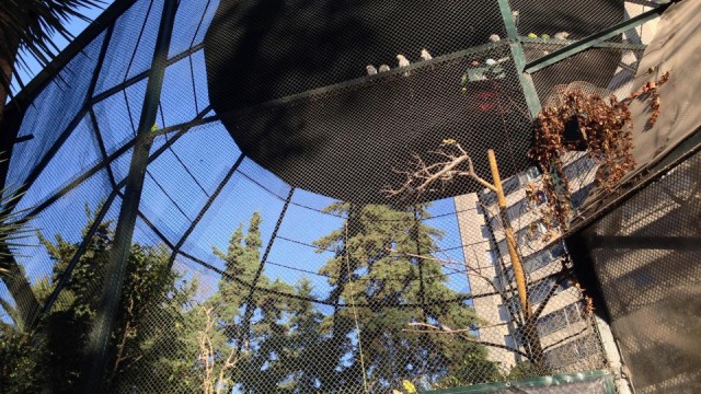 Aviario Abraham Lincoln