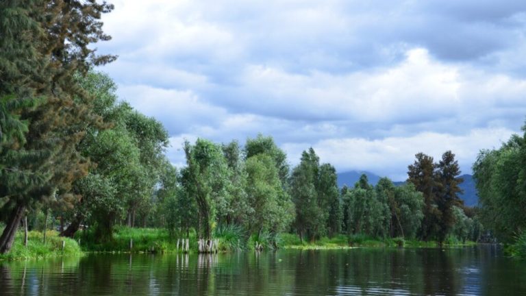 Parque Ecológico de Xochimilco