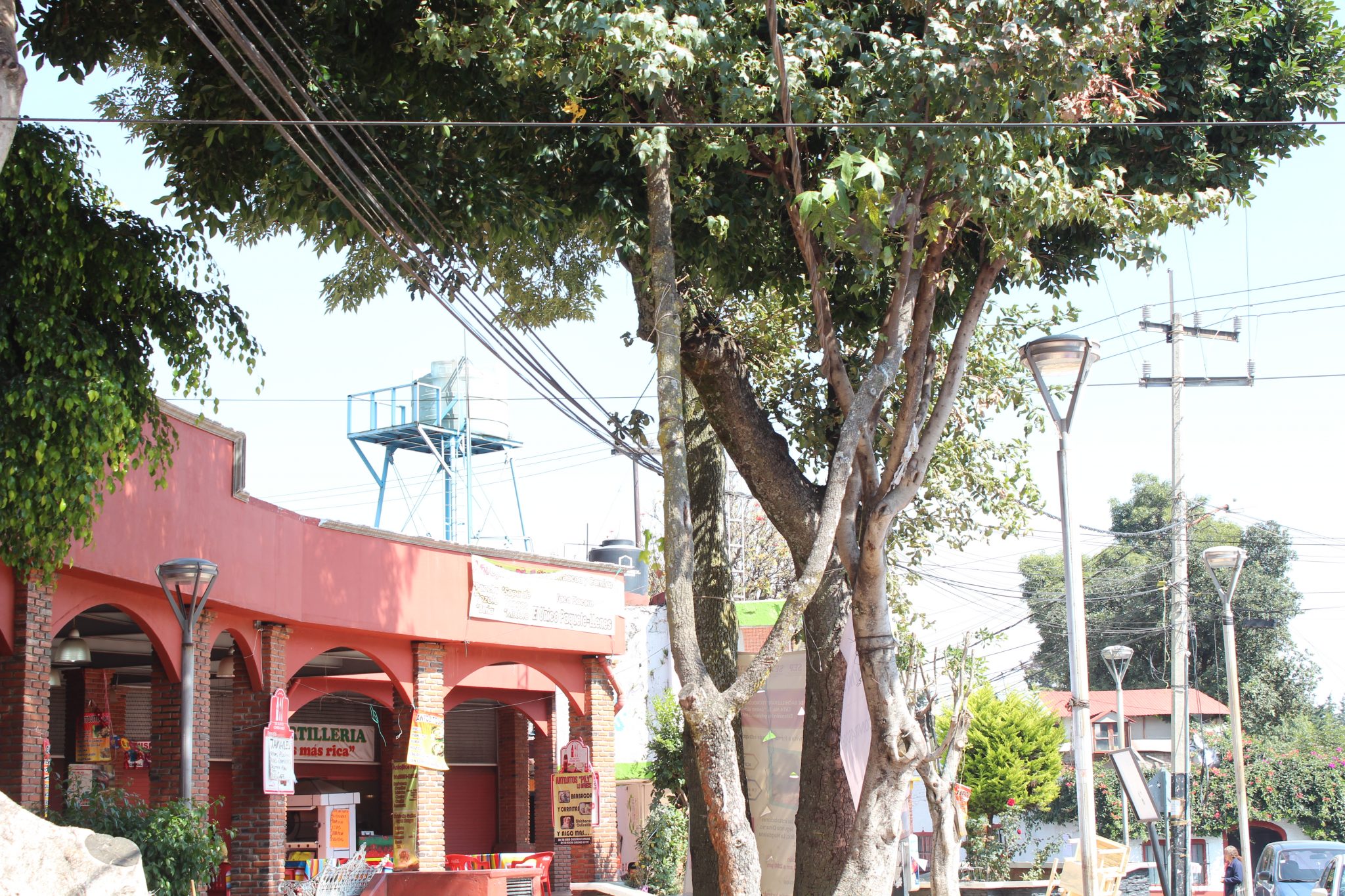 Mercado Turistico La Magdalena