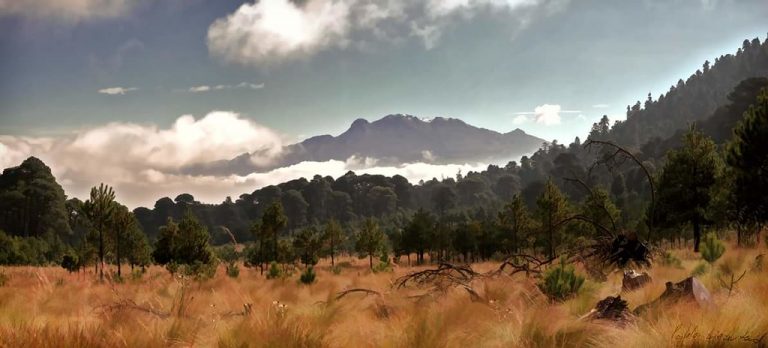 Parque Nacional El Tepozteco