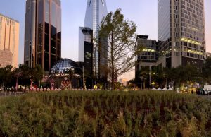 Glorieta del Ahuehuete