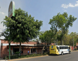 Santa Cruz Atoyac Market