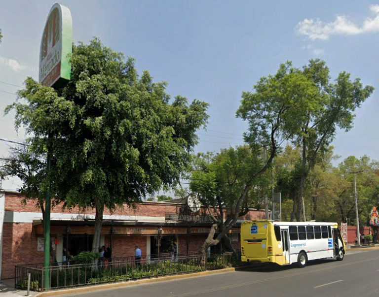 Mercado de Santa Cruz Atoyac