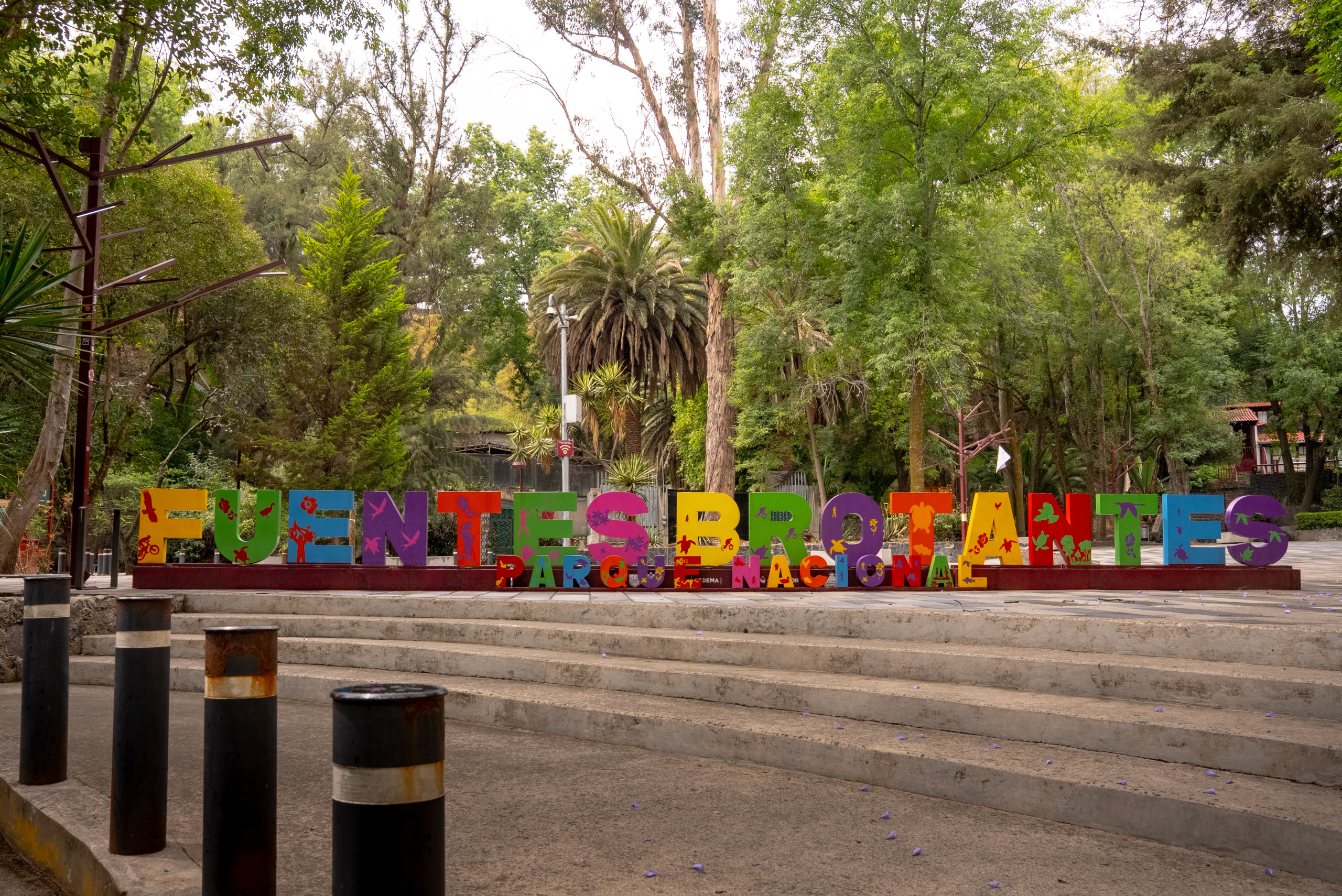Fuentes Brotantes de Tlalpan National Park