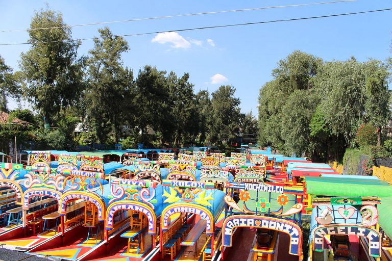Embarcadero Fernando Celada: Ecological Tours of Xochimilco