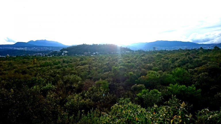 Reserva Ecológica del Pedregal de San Ángel