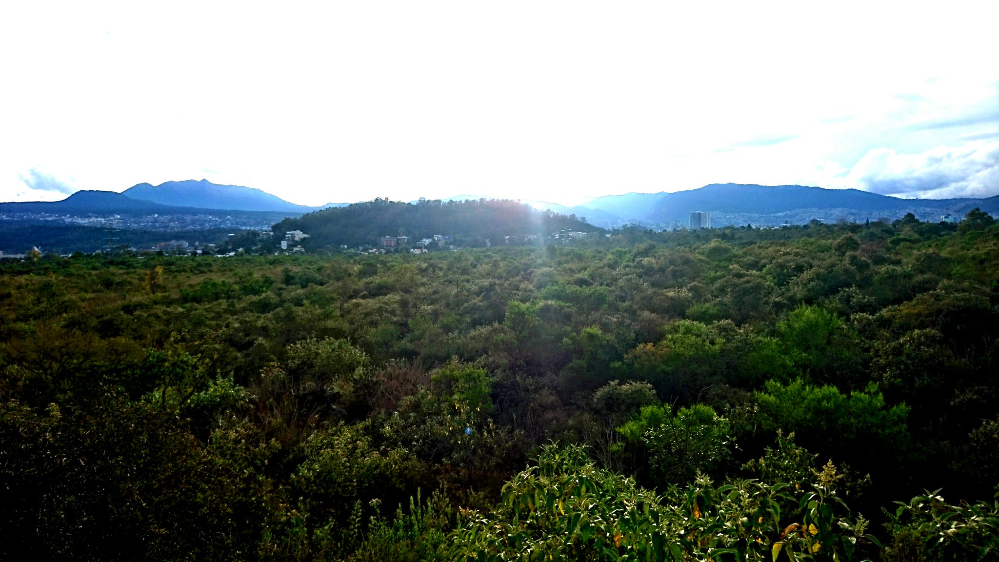 Reserva Ecológica del Pedregal de San Ángel