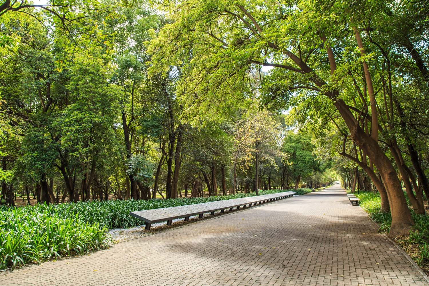 Calzada del Rey Nezahualcoyotl, Chapultepec