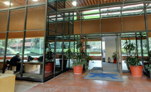 Ernesto de la Peña Library