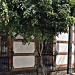 Galería MASA La Finca Colorada