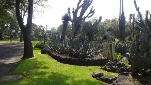IB-UNAM Botanical Garden