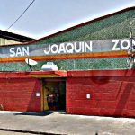 mercado san joaquin