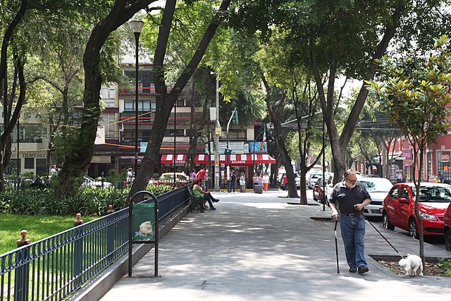 Los mejores barrios de la Ciudad de México para pasear: Edición 2023