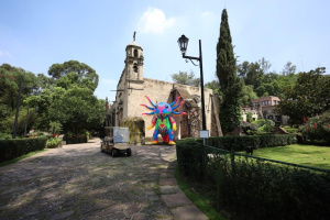 Dolores Olmedo Museum
