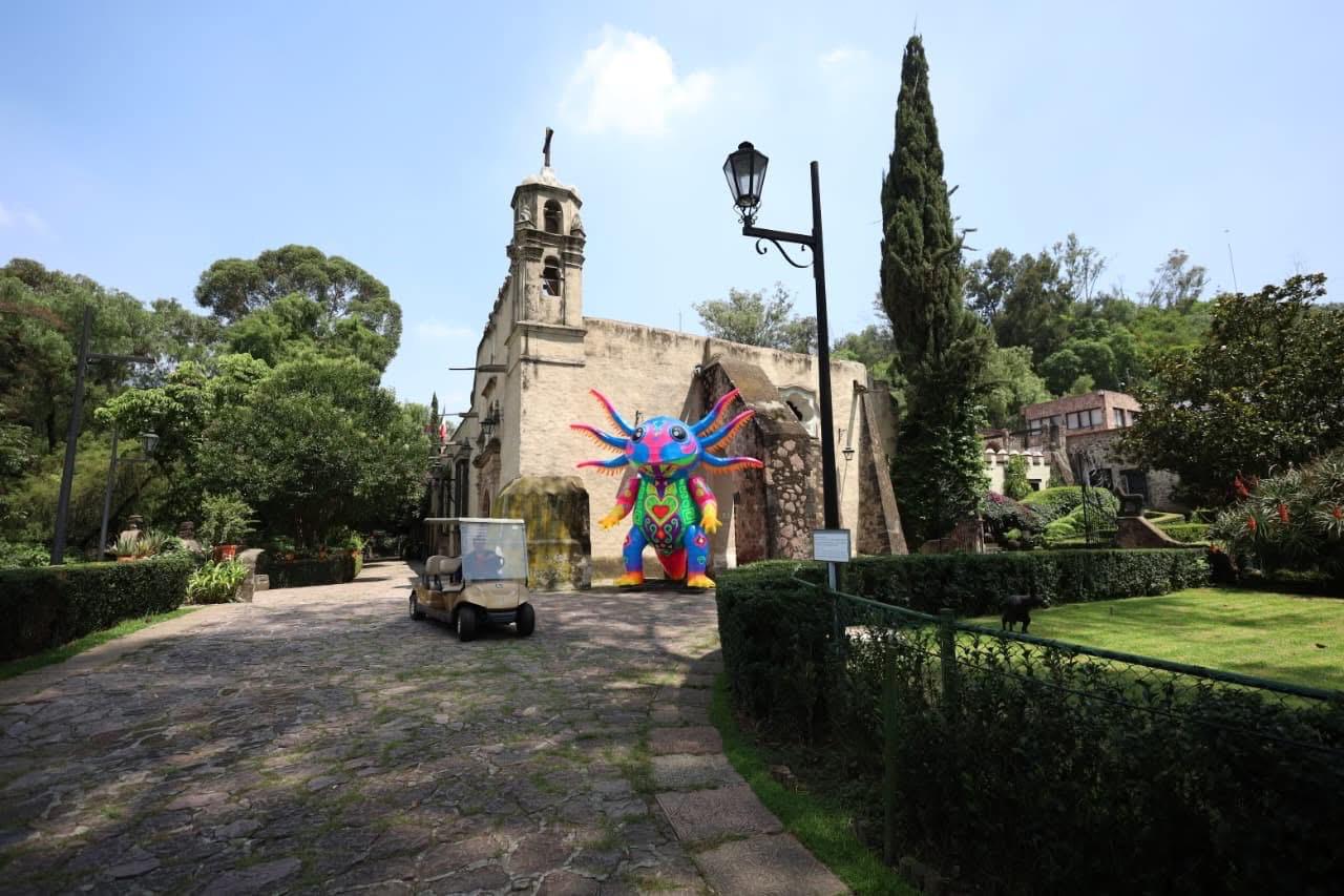 Dolores Olmedo Museum
