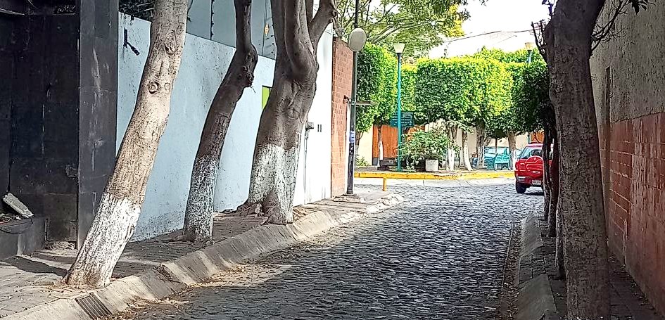 Barrio San Lucas Tlaxopa