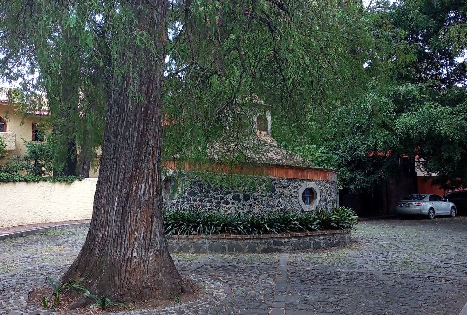 Barrio San Lucas Tlaxopa