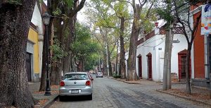 Avenida Francisco Sosa, Coyoacán