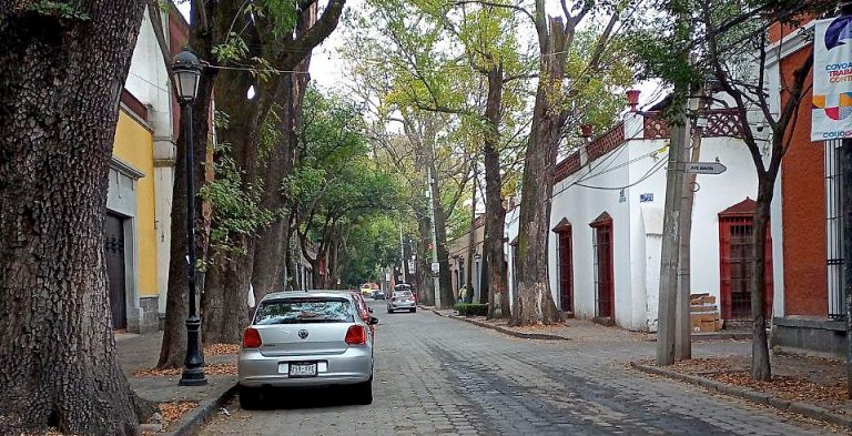 Avenida Francisco Sosa, Coyoacán