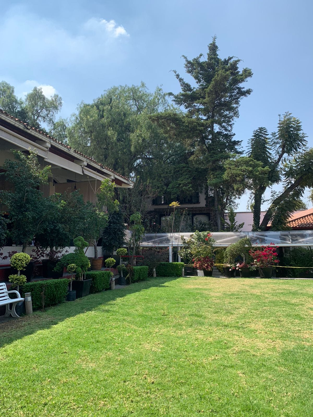 Centro Cultural y Social Veracruzano