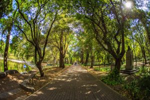 Calzada de los Poetas