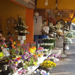 Mercado de Flores San Fernando