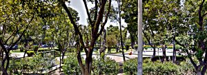 Parque Toriello