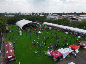 Festivales Futboleros